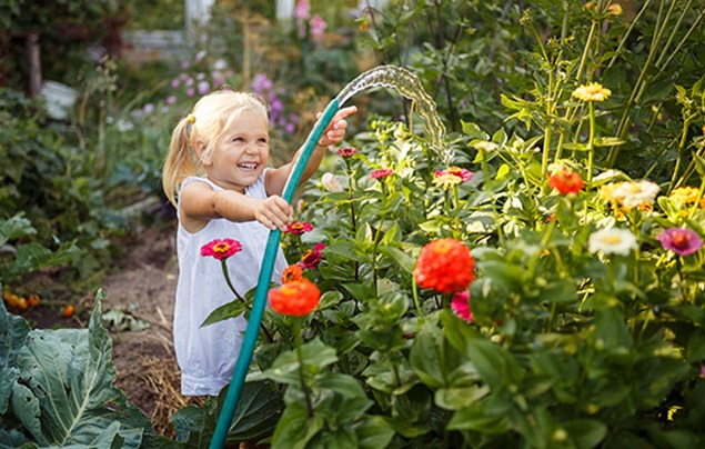 Лучшие 7 садовых ножниц для стрижки газонов и кустарников